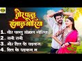 Tor Pallu Sambhal Goriya Audio Jukebox Sunil Soni Anupama Mishra Cg New Song 2026 Cg Song