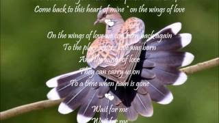 Wings Of Love 💕 Chris Norman