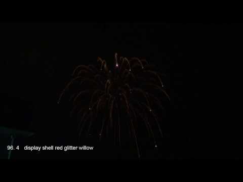 S4Z/5 - Red strobe willow
