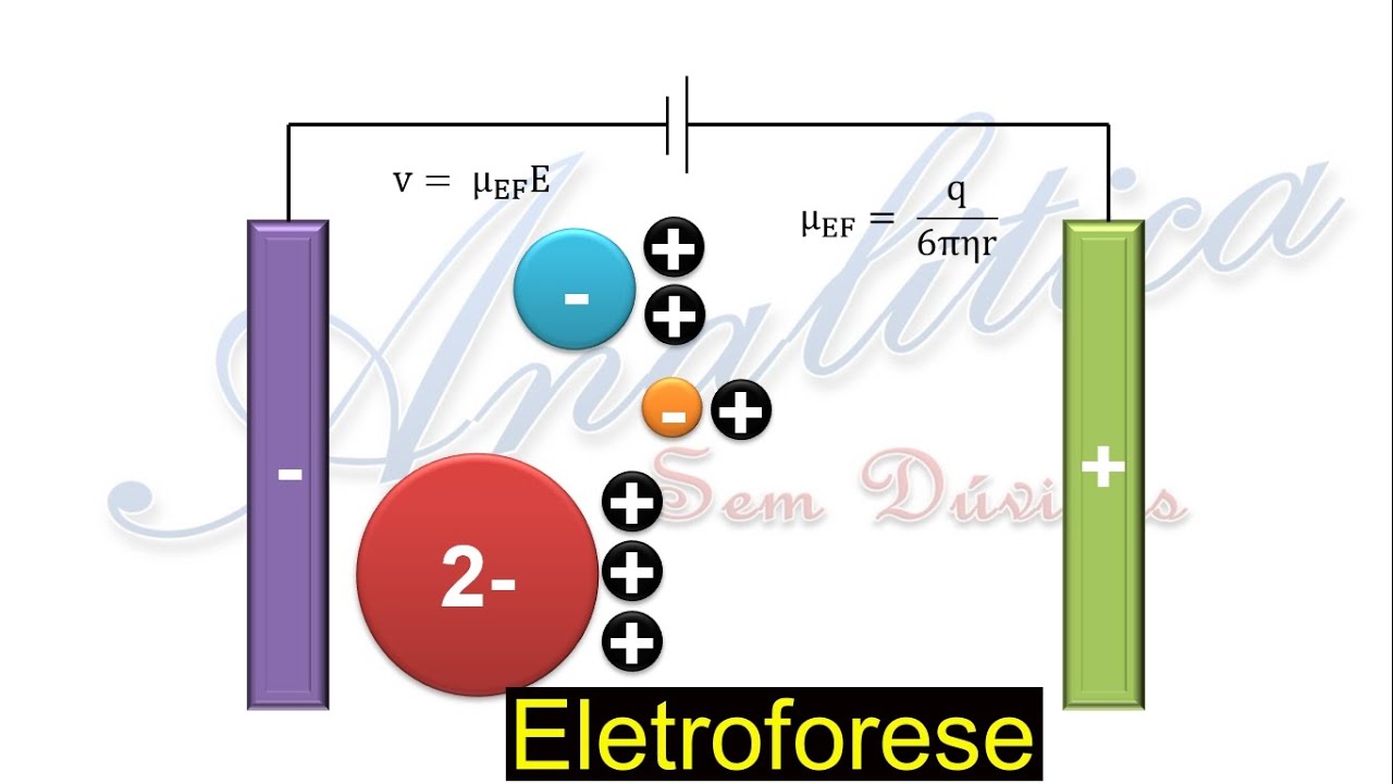 Métodos de separação 30 - Introdução a Eletroforese.