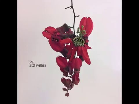 Jesse Whistler - Still (2016) - By The Darkness
