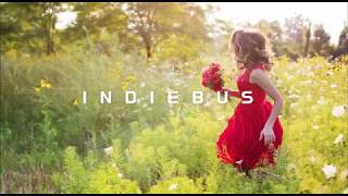 Bell X1 - In Every Sunflower  | lyrics 가사