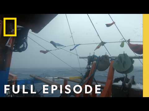 Capturing Typhoon Alley (Full Episode) | Gathering Storm | National Geographic