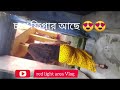 Kolkata Area Volg 2026 Sonagachivlog Vlog