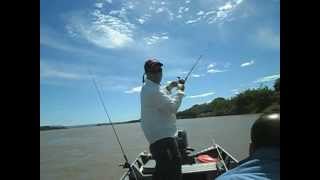 preview picture of video 'Pesca de uma mantrixã no rio São Francisco, Ibotirama/BA. Equipe Oeste Fishing.'