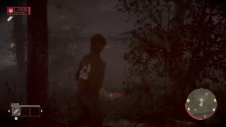 13日の金曜日、aneane、車で脱出したり、ゲーム実況