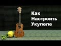 Как Настроить Укулеле | How To Tune A Ukulele 