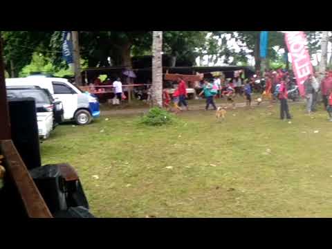 Ibadah pantekosta ke 2