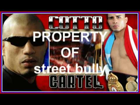 Cotto Cartel SIGI