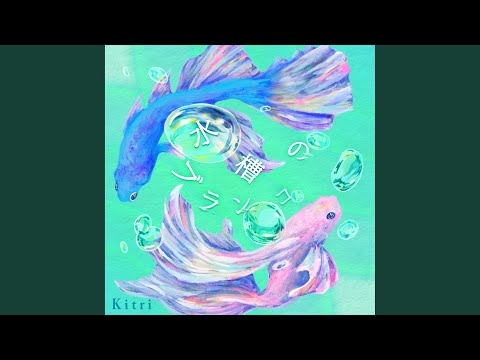 Gimai Seikatsu Suisou no Buranko Kitri
