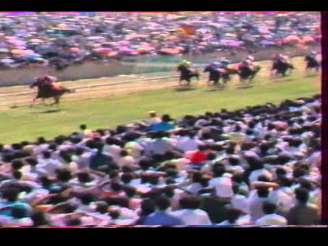 Pacific Ocean - MAIDEN CUP 1987 - Mohammad Moorad Keerpah- Free Horse Racing Tips
