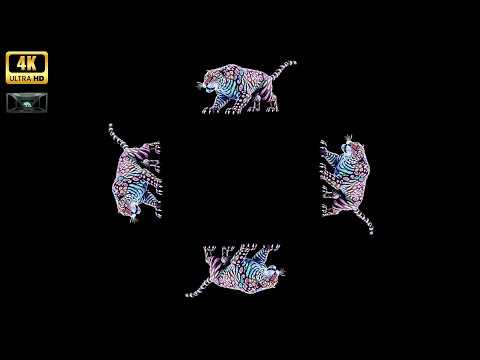 3D HOLOGRAM ANIMALS: MUST-SEE DAY OF THE DEAD FIESTA! (PYRAMID EDITION)