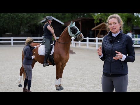 Lernen durch begreifen – Klare Ansage an die Berufskollegen | pferde doku