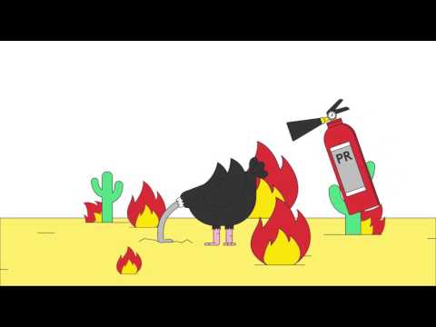 Don't get caught out series: reputation