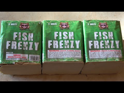 (3) Fish Frenzy 9s 200g cake by Sky Bacon - Great cheap little effects cake for FISH!!!!