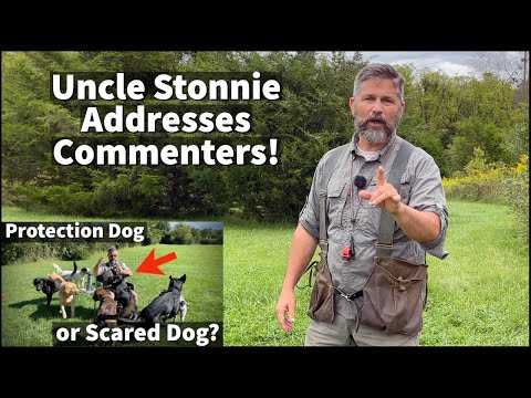 Protection Dog or Scared Dog 2 | Uncle Stonnie Goes On A Rant