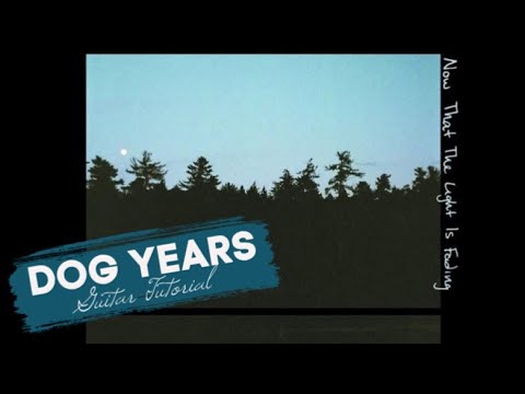 Dog Years - Maggie Rogers