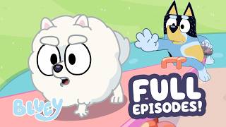 Bluey cover