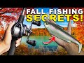 The 1 Fall Bass Fishing SECRET You NEED To Know
