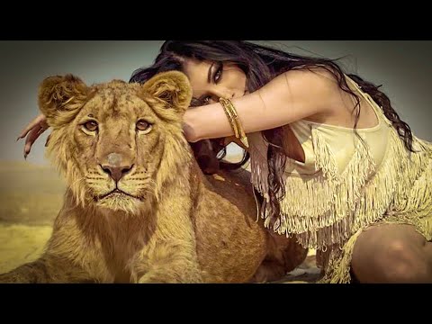 Akcent x Alexunder Base Ft Frissco Song 🔥 English Song #english #song