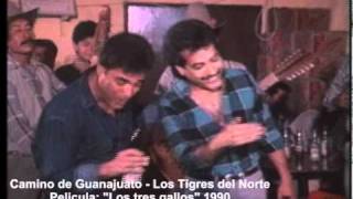 Camino de Guanajuato - Los Tigres del Norte
