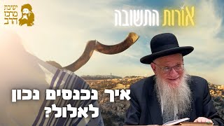 הרב יהושע מגנס | אורות התשובה | איך נכנסים לתוך אלול? | ד' אלול תשפ"ה | ישיבת מרכז הרב (ישיבת מרכז הרב) - התמונה מוצגת ישירות מתוך אתר האינטרנט יוטיוב. זכויות היוצרים בתמונה שייכות ליוצרה. קישור קרדיט למקור התוכן נמצא בתוך דף הסרטון הרב יהושע מגנס | אורות התשובה | איך נכנסים לתוך אלול? | ד' אלול תשפ"ה | ישיבת מרכז הרב (ישיבת מרכז הרב) - התמונה מוצגת ישירות מתוך אתר האינטרנט יוטיוב. זכויות היוצרים בתמונה שייכות ליוצרה. קישור קרדיט למקור התוכן נמצא בתוך דף הסרטון