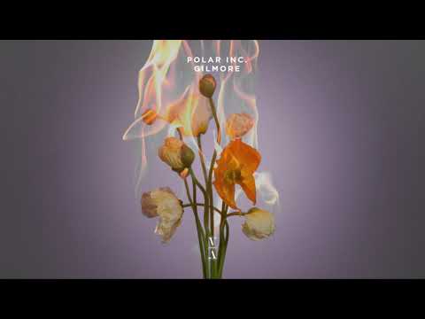 Polar Inc. - Gilmore