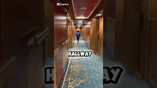Hallway in Carnival Splendor  #carnivalsplendor #carnivalcruises #travelvlog