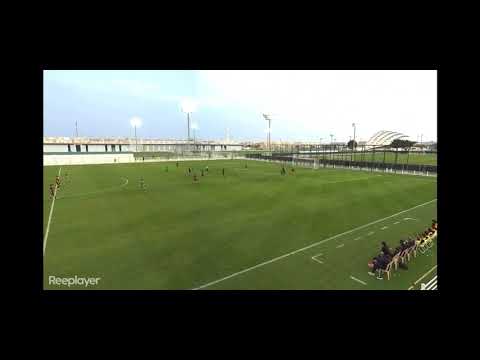 Miniatură video