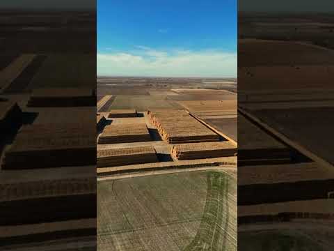 Video 4