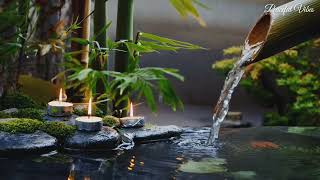 Relaxing Music 24/7, Stress Relief Music, Sleep Music, Meditation Music, Study, Calming Music