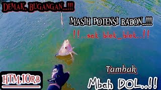 Download lagu Spot Demak‼️gak pernah ingkar janji || ikannya sak Blek-Blek bolo || MANTAP‼️ mp3