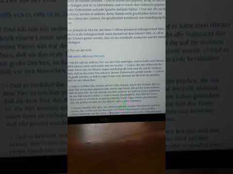 Die Wahrheit über Ulf Diebel, über Jesus Christus und wer ist eigentlich Baldur?