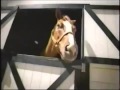McDonald S Ad Put A Smile On 2002 YouTube