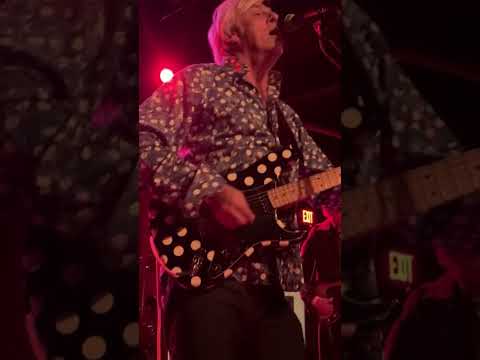 Robyn Hitchcock - Live 2019 - Nashville, TN #concert