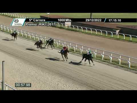 221229 c05 - BELO PALPITE (BRZ) - HIPODROMO LAS PIEDRAS