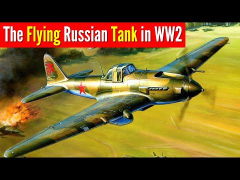 Ilyushin IL-2 Sturmovik | The Flying Tank | Armored Plane of soviet russia in WW2  #sturmovik #il2