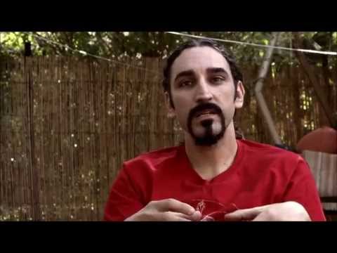 Capturing The Butterfly - Part 1 (The making of the album "Desert Butterflies")