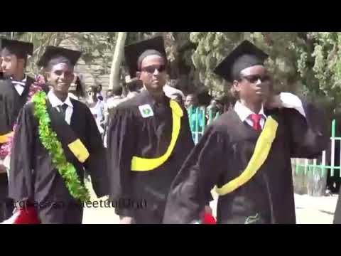 Urgeessaa isheetu new  oromo music baga gamadan Ebifama..