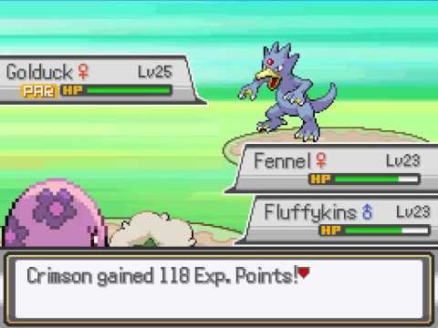 Pokemon Zeta Episode 23: Confused Once Again