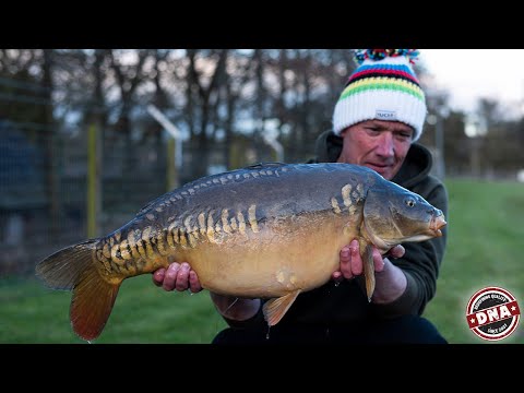 DNA OPEN-ACCESS SERIES 2021 | COMING THIS FRIDAY! | DNA BAITS | CARP FISHING | IAIN MACMILLAN