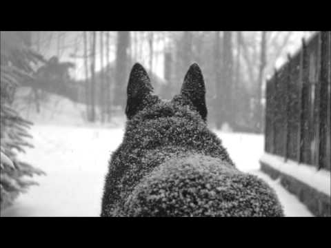 Hard Aggressive (IM BACK) Hip Hop Instrumental Beat 2016 (FreeDL)