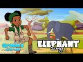 Elephant Song An Original Song By Gracie S Corner Nursery Rhymes Kids Songs