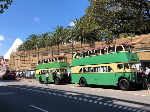 Sydney Bus Museum Australia Day 2022 Vintage Bus Service