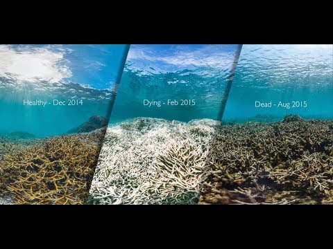 10 Major Current Environmental Problems