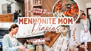 A Week in My Life: budget grocery haul, kitchen reno plans + setting up my freeze dryer