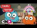 CANLI GUMBALL 3 Sezon Tüm Bölümler Cartoon Network Türkiye