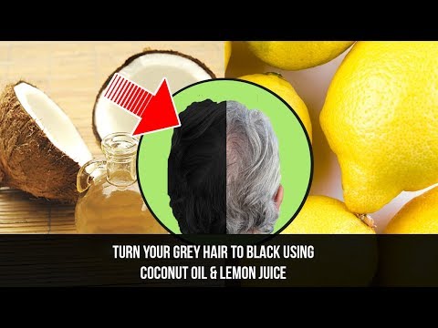 download lagu mp3 mp4 Coconut Oil And Lemon Juice, download lagu Coconut Oil And Lemon Juice gratis, unduh video klip Coconut Oil And Lemon Juice