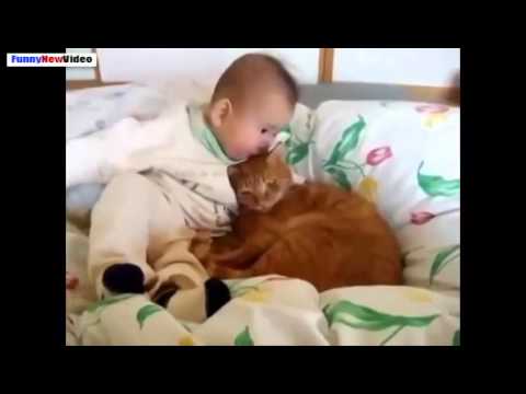 Funny Videos Of Cats And Babies Compilation 2015   Video Dailymotion