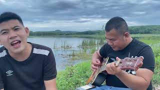 สหายสุรา cover by หนองใสแบนด์